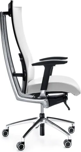 Profim Action 100 SFL - Bürostuhl, Rückenpolsterauflage, Sitztiefeneinstellung,  Sitz- und Rückenneigeeinstellung