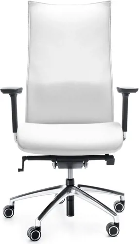 Profim Action 100 SFL - Bürostuhl, Rückenpolsterauflage, Sitztiefeneinstellung,  Sitz- und Rückenneigeeinstellung